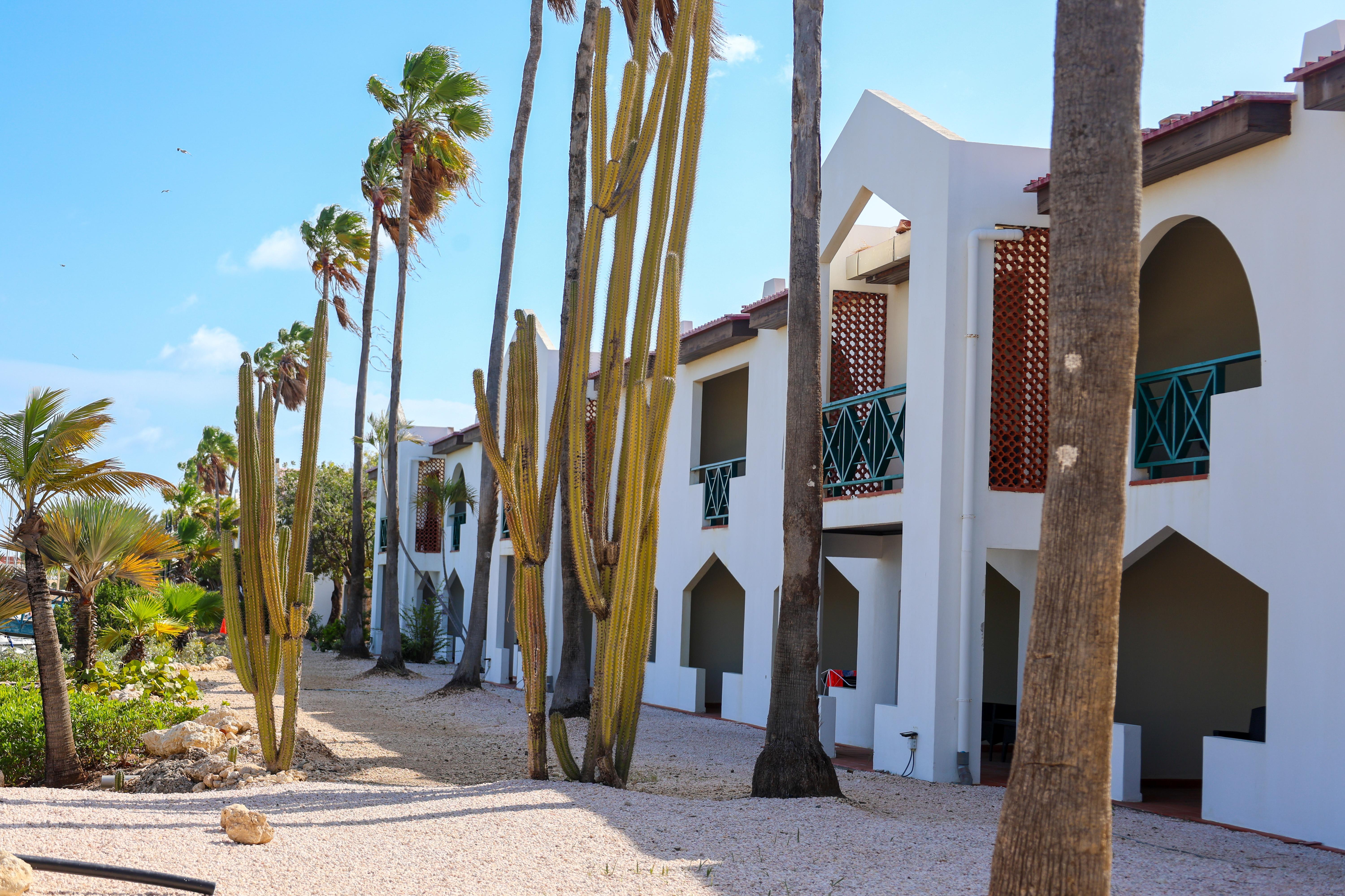 Van Der Valk Plaza Beach & Dive Resort Bonaire Kralendijk na wyspie Bonaire Zewnętrze zdjęcie